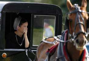image of an amish woman riding on a horse and carriage