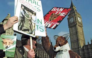 image of anti-foxhunting protest