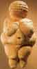 the venus of willendorf
